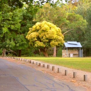 Belair National Park