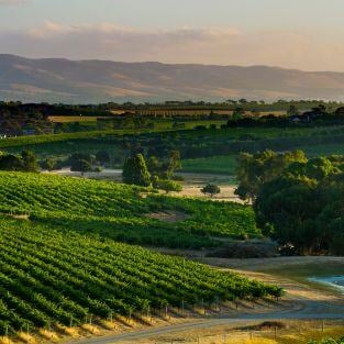 McLaren Vale