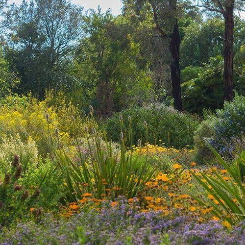 Wittunga Botanic Garden
